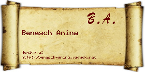 Benesch Anina névjegykártya